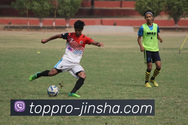 澳门金沙官网平台生态图